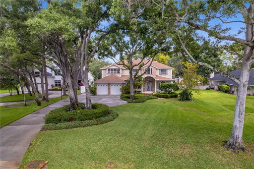 Media Image 2