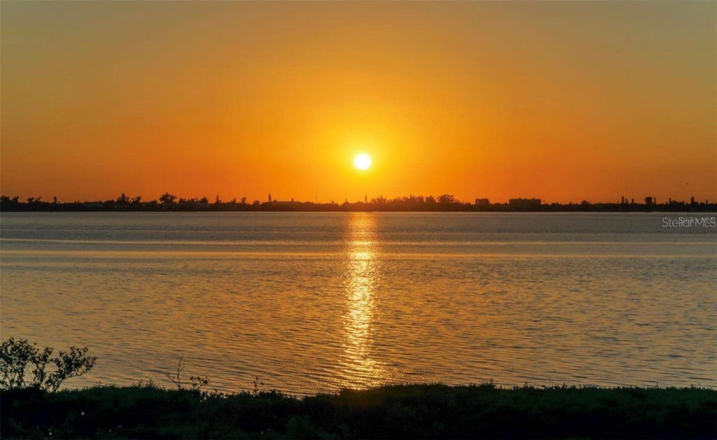 Media Image 1