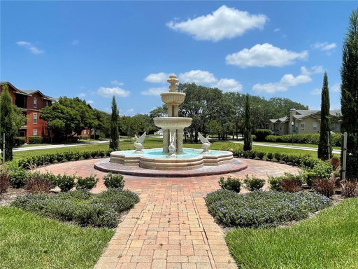 Media Image 2