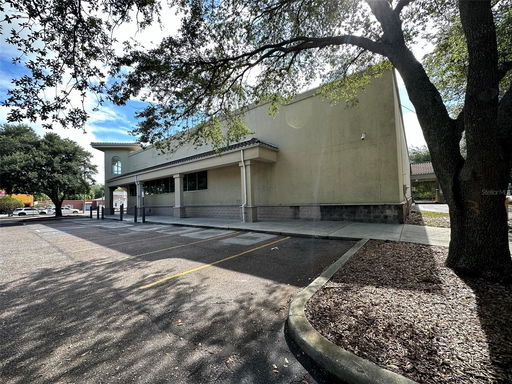 Media Image 3