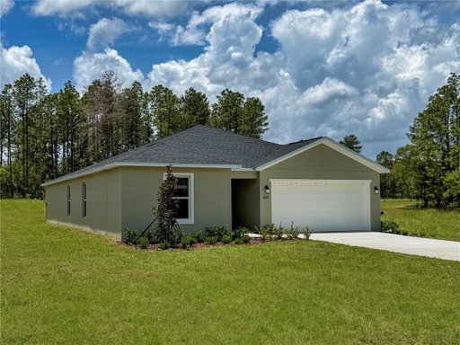 Media Image 2
