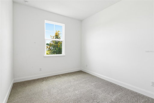 Media Image 3