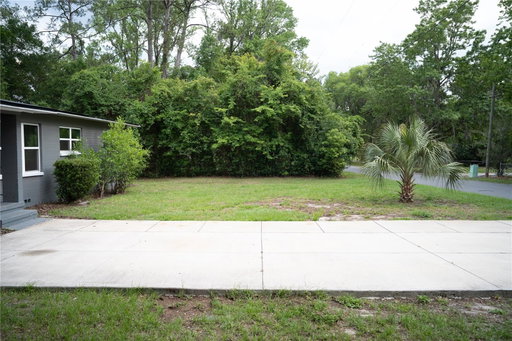 Media Image 3