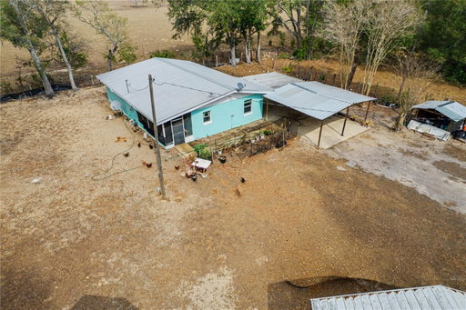 Media Image 3