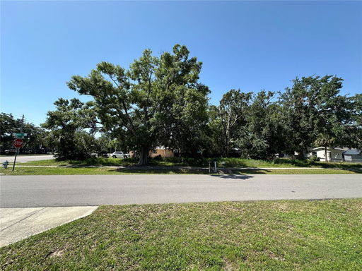 Media Image 3
