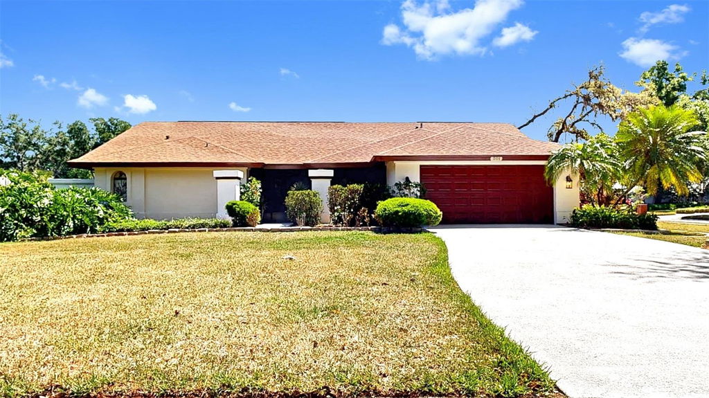 Media Image 1