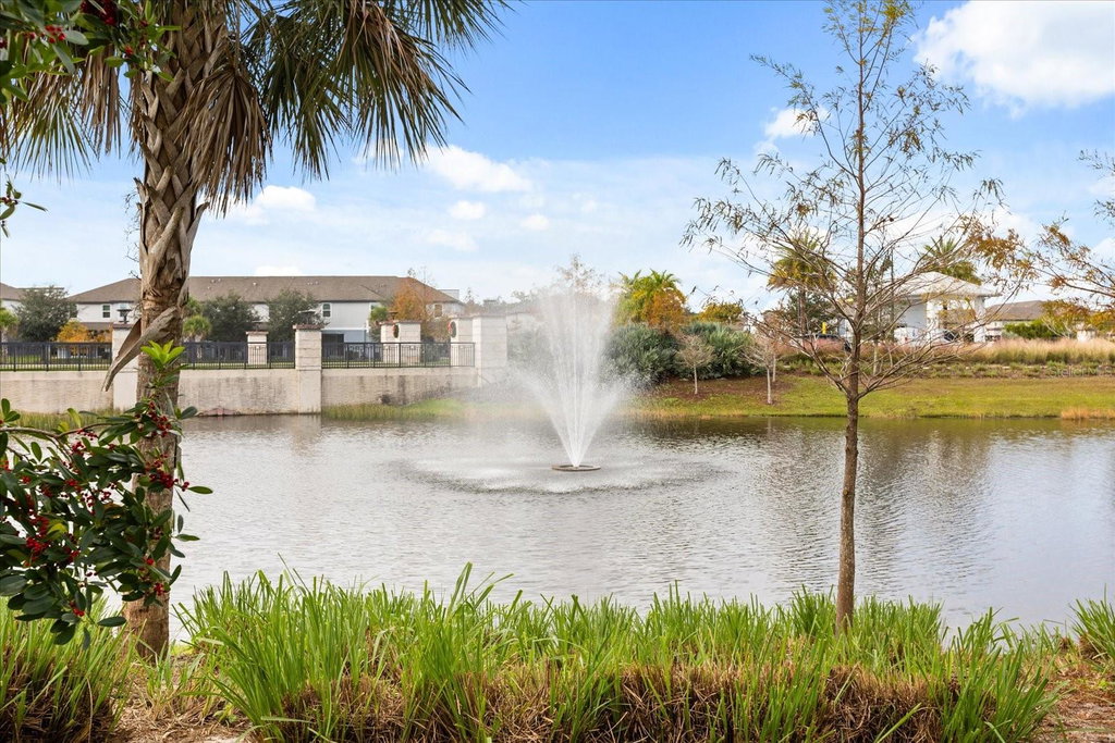 Image Unavailable