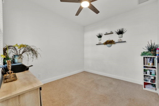 Media Image 3