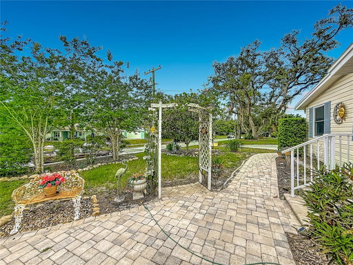 Media Image 2
