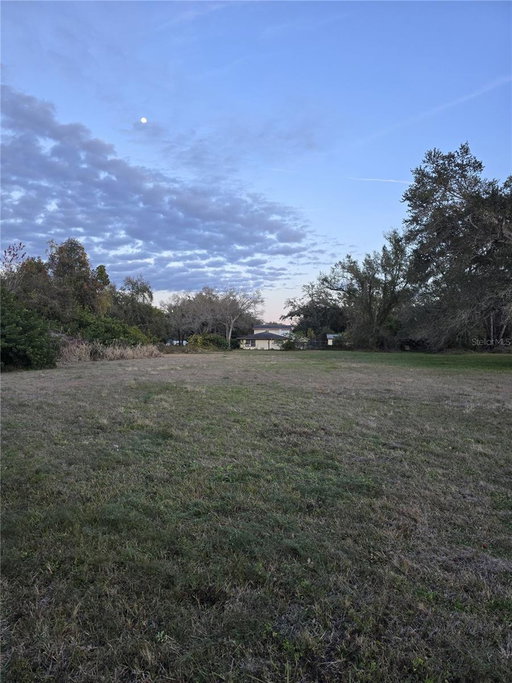 Media Image 2