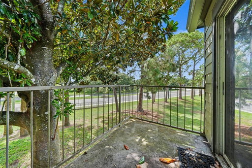 Media Image 2