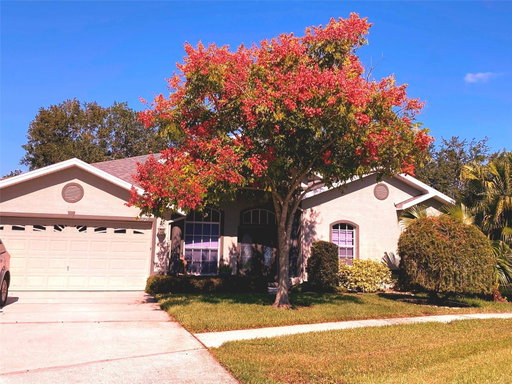 Media Image 2