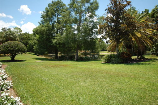 Media Image 3