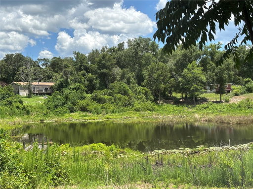 Media Image 3