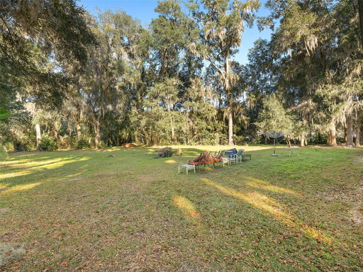 Media Image 3