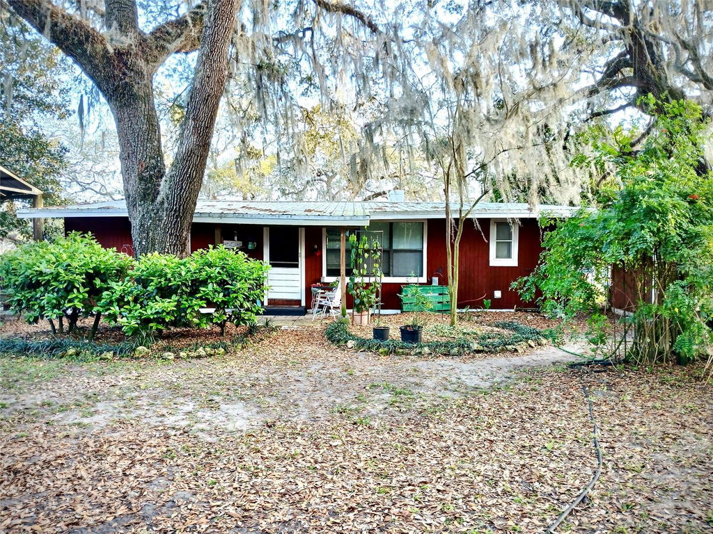Media Image 1