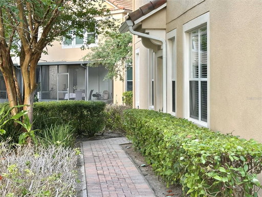 Media Image 2
