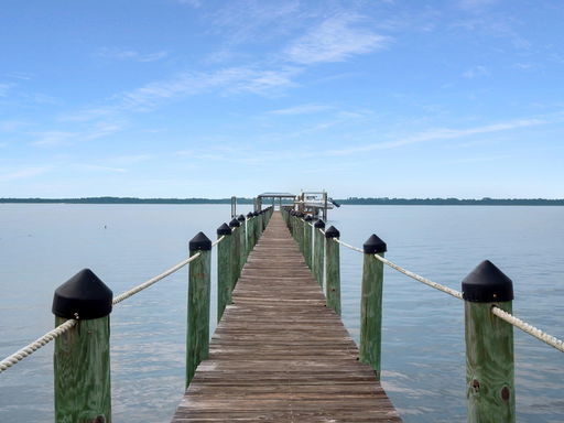 Media Image 2
