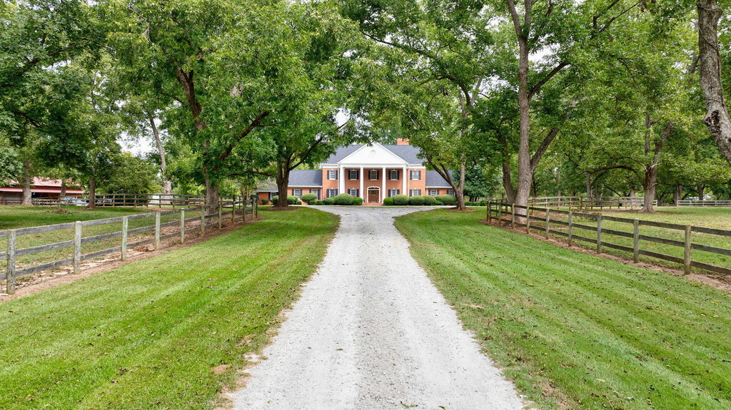 Media Image 1