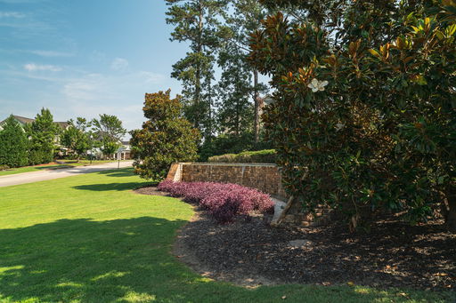 Media Image 3