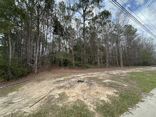 Media Image 2