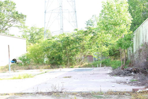 Media Image 3