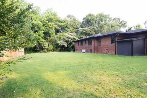 Media Image 3