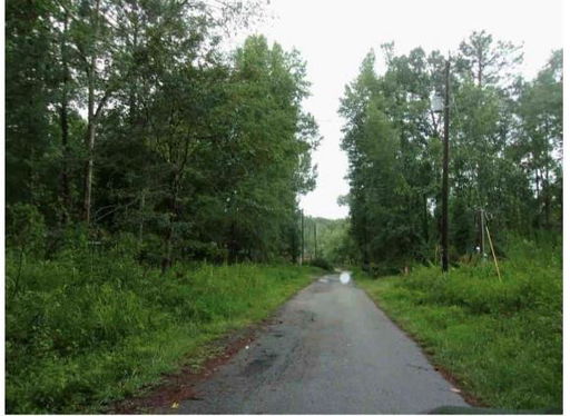 Media Image 3