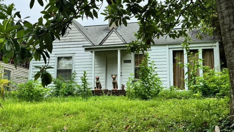 Image Unavailable