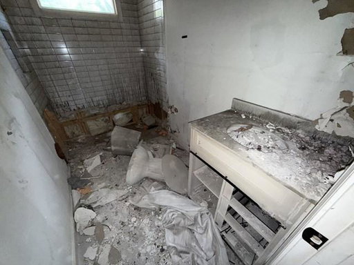 Media Image 3