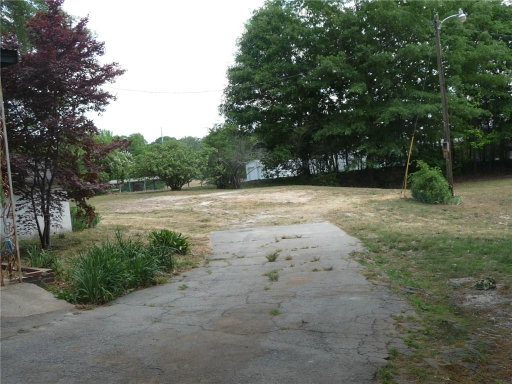 Media Image 3