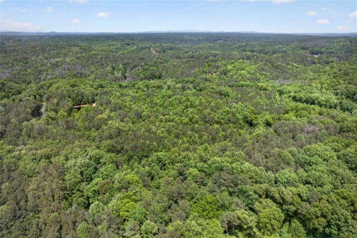 Media Image 3