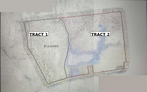Media Image 3