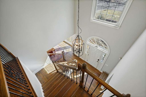 Media Image 3