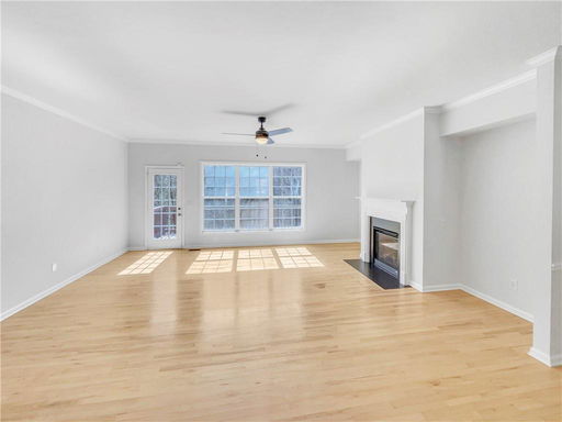 Media Image 3