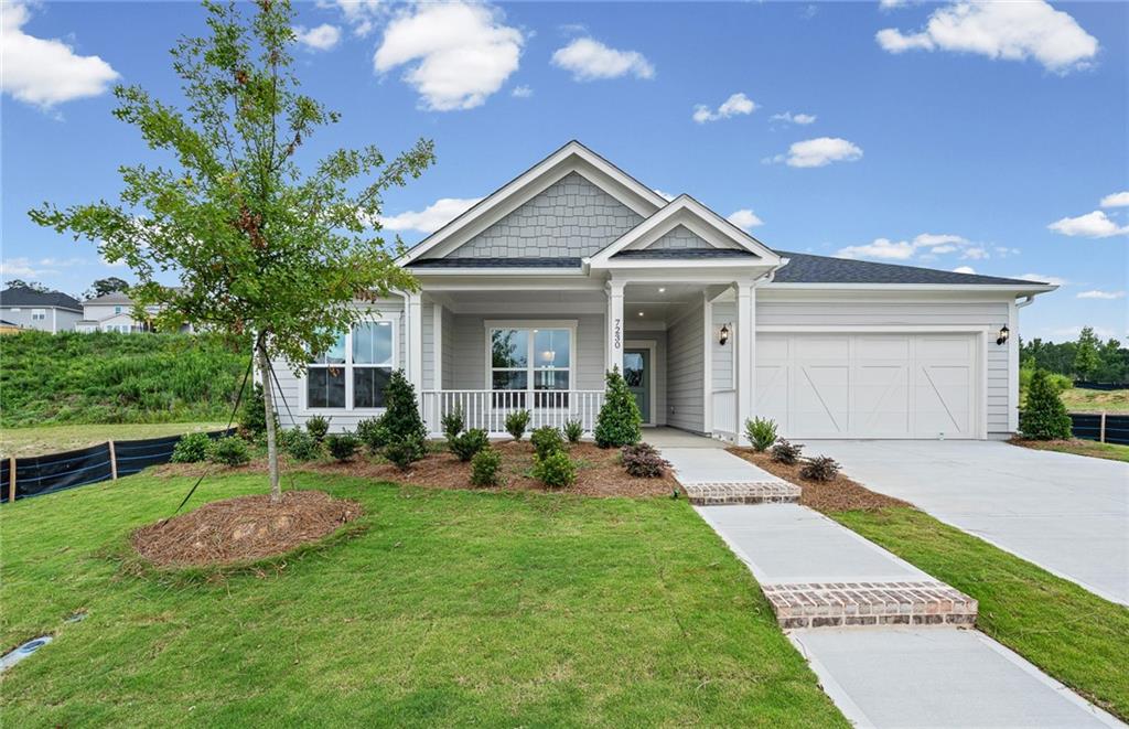 Image Unavailable