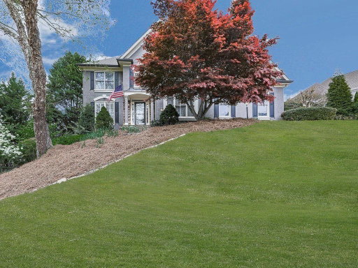 Media Image 3