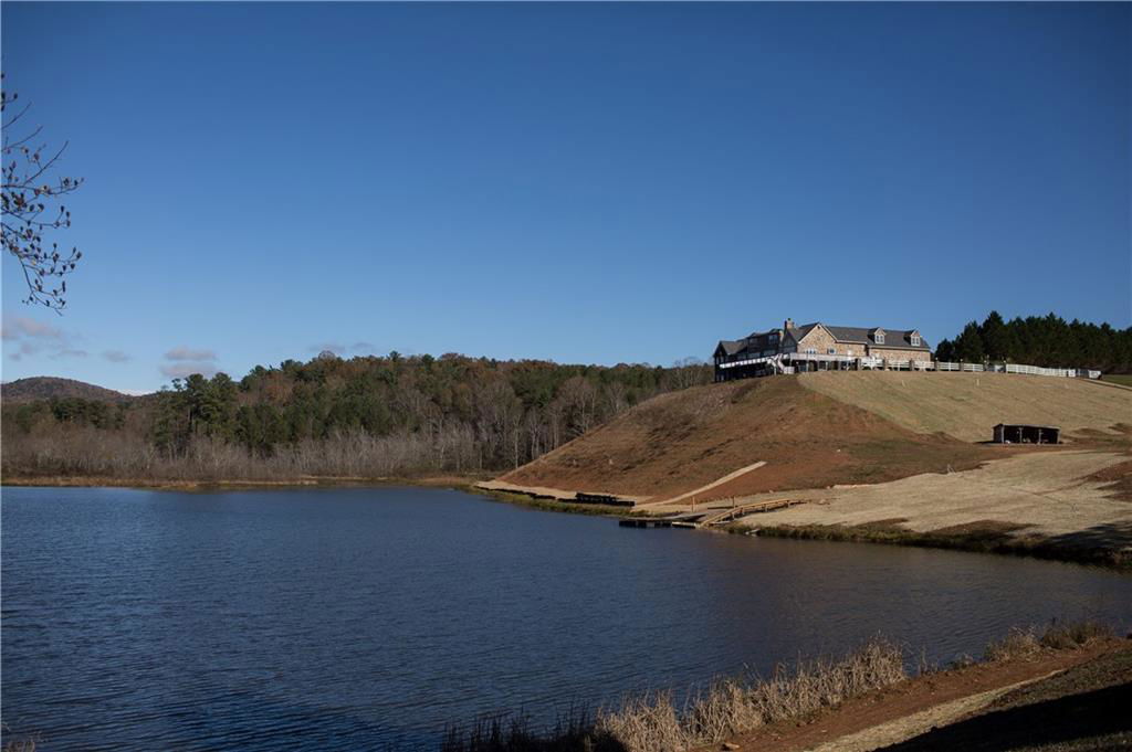 Media Image 1