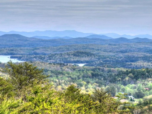 Media Image 3