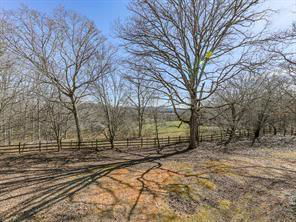 Media Image 3