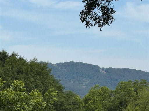 Media Image 2