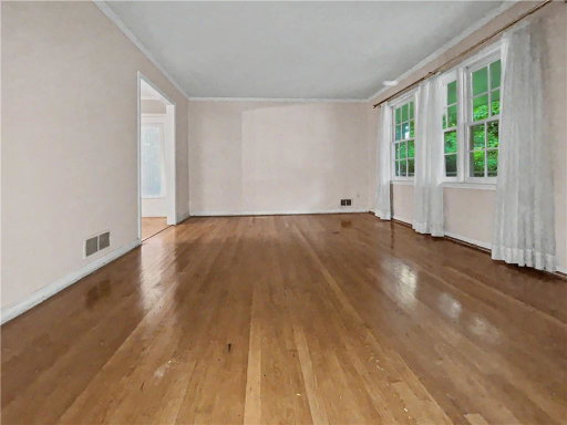 Media Image 3