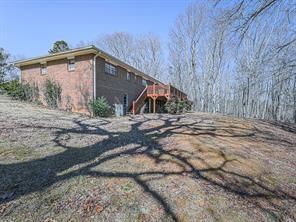 Media Image 2
