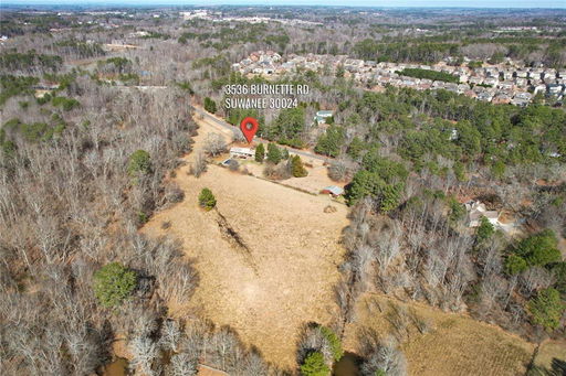 Media Image 3