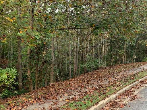 Media Image 2