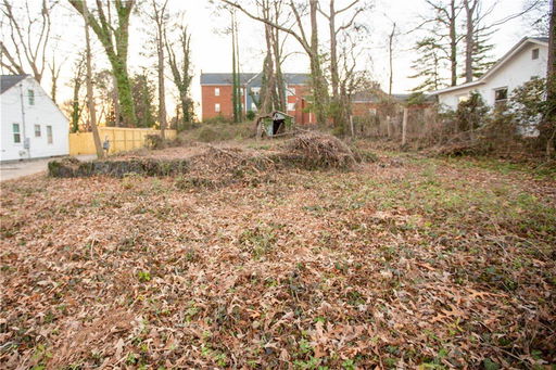 Media Image 3