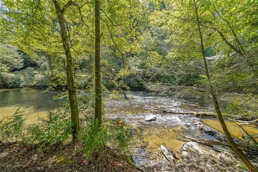 Media Image 3