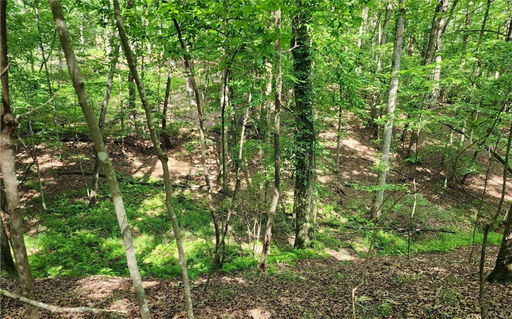 Media Image 2