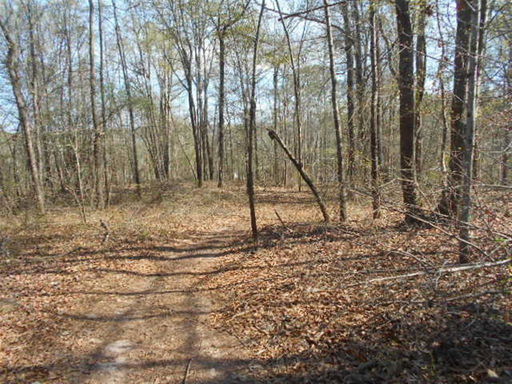 Media Image 3