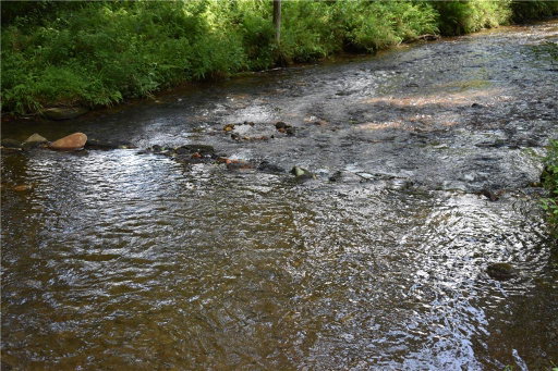 Media Image 3